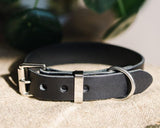 leather dog collar - Boston leathers