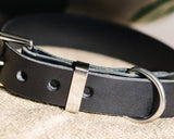 leather dog collar - Boston Leathers