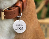 Dog Collar with Name Tag - Boston Leathers