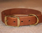 Dog Collar with Name Tag - Boston Leathers